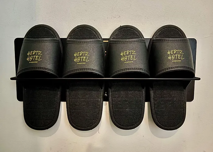 Hertz 3*